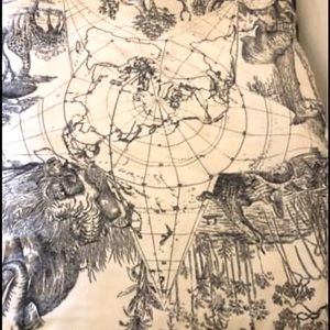 Authentic DIOR FIERCE BLANKET